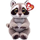 TY Petey Waschbär Beanie Bellie Regulär 6' | Beanie Baby Weiches Plüschtier | Sammlerstück Kuscheliger Stoffteddy