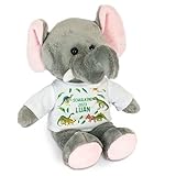 Kilala Elefant Kuscheltier für die Zuckertüte Schultüte mit Wunschname Topping für die Schultüte (T-Rex)