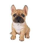 Vivid Arts Pet Pals Goldener Französischer Bulldoggen-Welpe