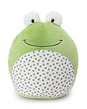 NICI Kuscheltier Frosch Fridolin Frog 25x30cm - grün - Weiches Plüschtier – niedliches Stofftier zum Kuscheln & Spielen – tolle Geschenkidee für Kinder & Erwachsene - 62285