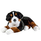 Teddys Rothenburg Berner Sennenhund groß liegend schwarz braun weiß 90 cm Kuscheltier Hund