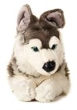 Uni-Toys - Husky, liegend - 40 cm (Länge) - Plüsch-Hund, Haustier - Plüschtier, Kuscheltier