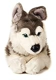Uni-Toys - Husky, liegend - 40 cm (Länge) - Plüsch-Hund, Haustier - Plüschtier, Kuscheltier, Grau