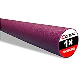 Conipa® - 1 Stück Schwimmnudel (160 x 7 cm) Kinder & Erwachsene (aus Schaumstoff) - Poolnudel & Pool-Spielzeug Set ab 3-10 Jahre (Made IN Europe) - Pool Wassernudel & Pool-Nudel (1 x Lila)