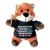 Mutmacher Fuchs zur Einschulung – Plüschtier 16 cm mit Shirt & Spruch – Geschenk für Schulanfänger & Schultüte – Einschulungsgeschenk ABC-Schütze