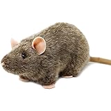 Reuben die Ratte – 18 cm große Stofftier-Plüschmaus – von Tiger Tale Toys