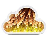 Funmo DIY Tulpe Nachtlicht,Wolke Tulpe Lampe,Lampe in Wolken Design,Mirror Cloud Shaped Tulip Lamp,Tulpen Lampe in Wolken Design,Blumen-LED-Nachtlichter für Schlafzimmer,Tulip Cloud Schreibtischlampe