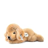 Steiff Kuscheltier Kleiner Freund Golden Retriever Welpe Lumpi, Süßes Stofftier mit Kunststoffaugen, Kinder, Jungen & Mädchen, Plüschtier 22 cm, Beige, 280160