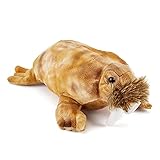 Zappi Co Plüsch Kinder Kuscheltier Weiches Kuschel Plüschtier - Teil der Safari-Tiere-Kollektion, Perfekt für Kinder(33cm)(Walross)