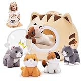 OUOZZZ Katze Kuscheltier für Kinder, 5 Stück Katze Plüschtiere mit Katzenhaus, Weiche Kleine Katzen Stofftiere Plüsch Spielzeug - Party Geburtstagsgeschenk Dekoration