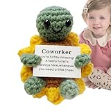 Positive Unterstützung, Schildkröte mit positiven Botschaften, Plüschtiere, weich, motivierend, handgefertigt, Geschenk für Freunde, Lehrer, Geburtstag, Graduierung