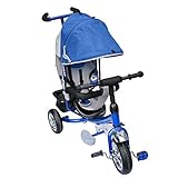M&G Techno Dreirad mit Dach Lenkstange Kinder 2 bis 5 Jahre Fahrrad blau metallic