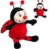 Plüschtier Größenwahl Marienkäfer/Glückskäfer - 16 cm - Kuscheltier - superweich - Stofftier/Plüschkäfer - Alles Gute Glück Tiere Tier Glücksbringer -..