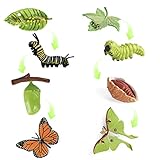 SIENON 4 Stück Schmetterling Lebenszyklus Spielzeugfiguren und 4 Stück Motte Figur aus Kunststoff Raupe zu Schmetterling Wachstumszyklus Spielzeug Insektenfiguren Lehrmittel Schule Projekt für Kinder