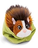 NICI Little Paws Meerschweinchen Kuscheltier 12cm Espresso-karamell im grünen Körbchen - Flauschiges Stofftier, Plüschtier zum Kuscheln, Spielen und Liebhaben - 61334