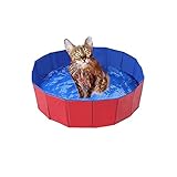 Faltbar Hundepool, Hund Schwimmbad Umweltfreundliche PVC rutschfest Planschbecken mit Ablassventil Sommer Schwimmbad Schwimmbecken Für Hund Katze (50 * 8cm(19.68 * 3.15''))