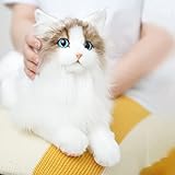 Chongker Kuscheltiere Plüschtier Katze, echte Größe, handgefertigt, Geschenk für Kinder, Frauen (Ragdoll liegend)