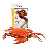 UPKOCH Elektrische Krabbenmodell-Spielzeug für Junge Mädchen Detailgetreues Krabbenspielzeug mit Fernbedienung Sorgfältig Verarbeitetes Simulationsspielzeug mit Universalrad