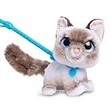 furReal Wag-A-Lots Kitty interaktives Spielzeug, 20 cm groß, hüpfendes Plüschkätzchen mit Soundeffekten, weiches Kuscheltier, Kinderspielzeug ab 4 Jahren von Just Play