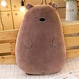 RAILONCH 50cm Plüschtier Stuffed Dinosaurier, Schwein, Bär, Cat, Schafe, Nilpferd Cartoon Langes Kissen Unisex Plüsch-Puppe (Bär)
