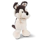 NICI 45715 Kuscheltier Hund Husky Swante 25 cm, Schlenker – Das süße Hunde Plüschtier für Jungen, Mädchen, Babys und Kuscheltierliebhaber