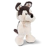 NICI 45715 Kuscheltier Hund Husky Swante 25 cm, Schlenker – Das süße Hunde Plüschtier für Jungen, Mädchen, Babys und Kuscheltierliebhaber