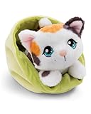 NICI Little Paws Kuscheltier Katze 12cm gefleckt im hellgrünen Körbchen - Flauschiges Stofftier, Plüschtier zum Kuscheln, Spielen und Liebhaben - 61332