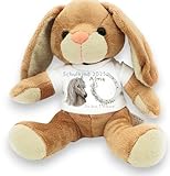 Kilala Personalisiertes Einschulungskuscheltier – Schulkind 2025 – Plüschfigur mit Wunschname – Geschenk zur Einschulung – 21 cm – Motiv (Pferd)