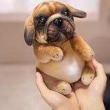 Xiyocadt 20cm Klein Französische Bulldogge, Hund Kuscheltier, Hund - Plüschtier, Plüsch Spielzeug Geschenk für Kinder & Erwachsene (Kaffee)