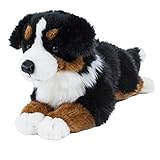 unbekannt Kuscheltier Berner Sennenhund 38 cm liegend schwarz/braun/weiß Plüschhund Uni Toys