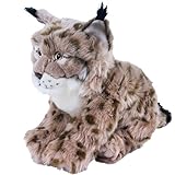 Teddys Rothenburg Kuscheltier Luchs sitzend 27 cm beige/schwarz Plüschtier Plüschluchs