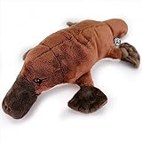 Schnabeltier Kuscheltier Ameisenigel Platypus Plüschtier Platy