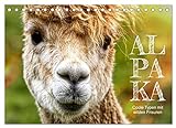 Alpaka, coole Typen mit wilden Frisuren (Tischkalender 2023 DIN A5 quer), Calvendo Monatskalender