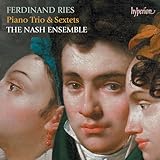 Ries: Sextet in G Minor, Op. 142: I. Allegro ma non troppo