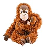 Teddys Rothenburg Kuscheltier Orang Utan AFFE mit Baby 28 cm sitzend Plüschtier by Uni-Toys