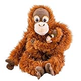 Teddys Rothenburg Kuscheltier Orang Utan AFFE mit Baby 28 cm sitzend Plüschtier by Uni-Toys