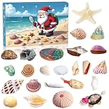 Muschel-Adventskalender 2025, 24 Tage Natürliche Muscheln Sammlung, Countdown-Kalender für Kinder