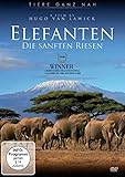 Elefanten - Die sanften Riesen