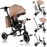 LIONELO Tris Plus Multifunktionales Laufrad Dreirad von 9 Monaten bis 5 Jahren bis zu 25 kg, Kinderwagen, Große PU-Räder Drehbarer Sitz 360 ° Verstellbare Rückenlehne Montage ohne Werkzeug