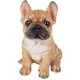 Vivid Arts Pet Pals Goldener Französischer Bulldoggen-Welpe