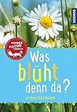 Was blüht denn da? Kindernaturführer: entdecken, erkennen, erleben