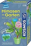 Kosmos 657802 Mimosen-Garten Pflanzen züchten und erforschen Komplett-Set mit Mini-Gewächshaus Experimentier-Set für Kinder ab 6-10 Jahre Mitbringexperiment Teal/Turquoise Green