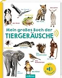 Mein großes Buch der Tiergeräusche: Mit 50 Sounds | Hochwertiges Soundbuch mit realistischen Sounds für Kinder ab 24 Monaten
