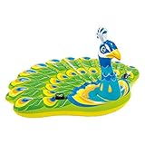 VEDES Großhandel GmbH - Ware 77000780 Island Peacock Sportspielzeug, 193 x 163 x 94 cm, Einzeln, Mehrfarbig, 3.Grande