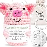 LOViLEE Glücksschwein Lotti im Geschenkset - Positive Kartoffel inkl. Geschenkbeutel und Pocket Hug - Positive Potato, Glücksbringer Prüfung, Du schaffst das Geschenk, Mutmacher Geschenk
