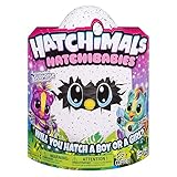 Hatchimals 6044070 HatchiBabies Ponette, Baby - Hatchimal mit interaktiven Accessoires