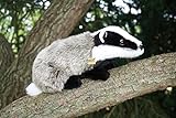 Dachs ca. 23 cm Badger Plüschtier Kuscheltier Stofftier Plüsch 143 von Zaloop