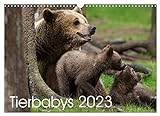Tierbabys 2023 (Wandkalender 2023 DIN A3 quer), Calvendo Monatskalender