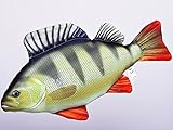 Gaby Kissen Fisch der Barsch 50 cm Kuschelfische Kuscheltie Kopfkissen Plüschtier