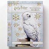 HARRY POTTER: Carta Shop Offizieller Harry Potter Adventskalender aus Blech - Harry Potter Fanartikel - Weihnachten Geschenk